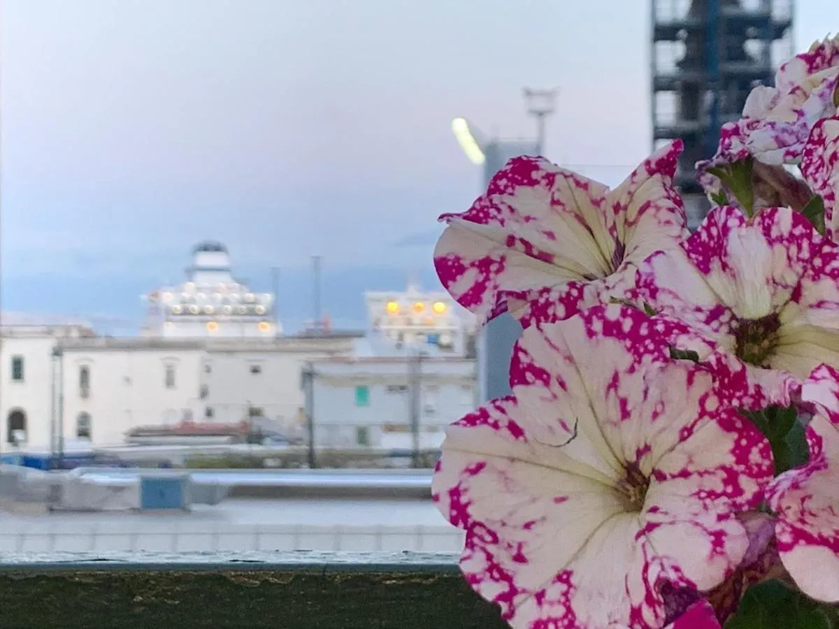 La Terrazza Sul Porto Daire Napoli